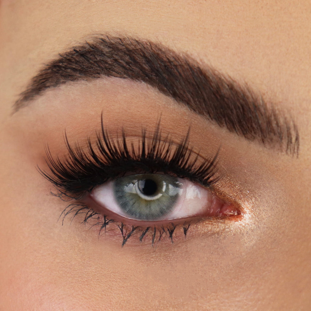 Hidrocor Graphite Gray Coloured Contacts | Yearly