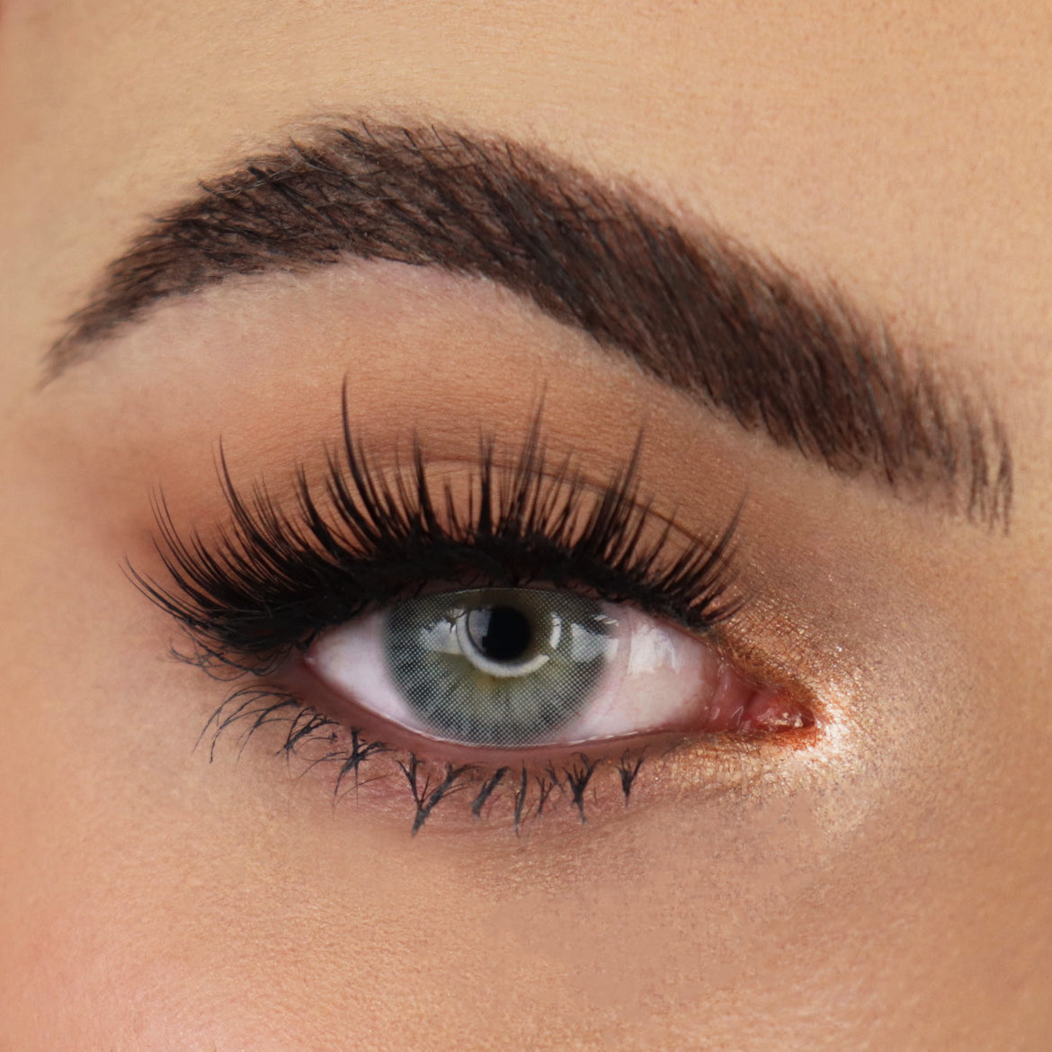 Hidrocor Graphite Gray Coloured Contacts | Yearly