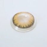 FreshGoProKhakiBrownColoredContactLenses_1__WPS.jpg